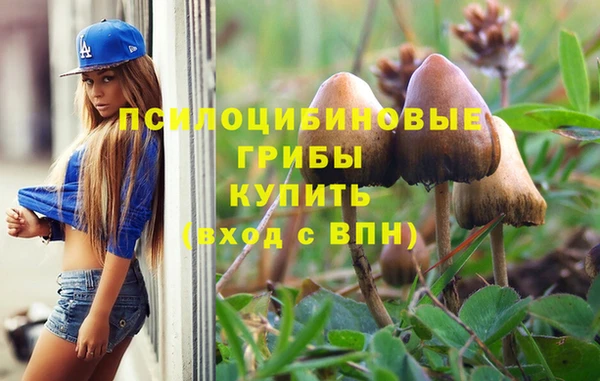 а пвп мука Беломорск