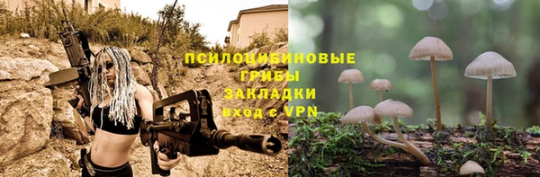 ALPHA PVP Белокуриха