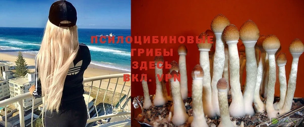 синтетический гашиш Белоозёрский