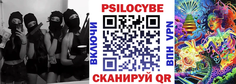 как найти наркотики  Волосово  Галлюциногенные грибы Psilocybine cubensis 